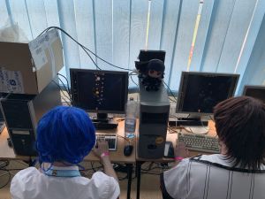 2025 07 26 15 58 09.JPG